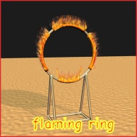 Circus Firering